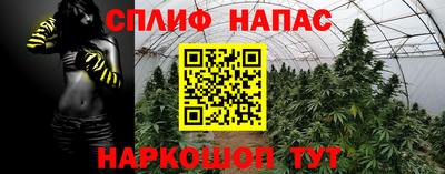 гидропоника Бузулук
