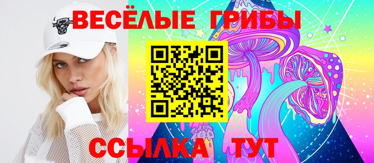Псилоцибиновые грибы GOLDEN TEACHER Сухой Лог