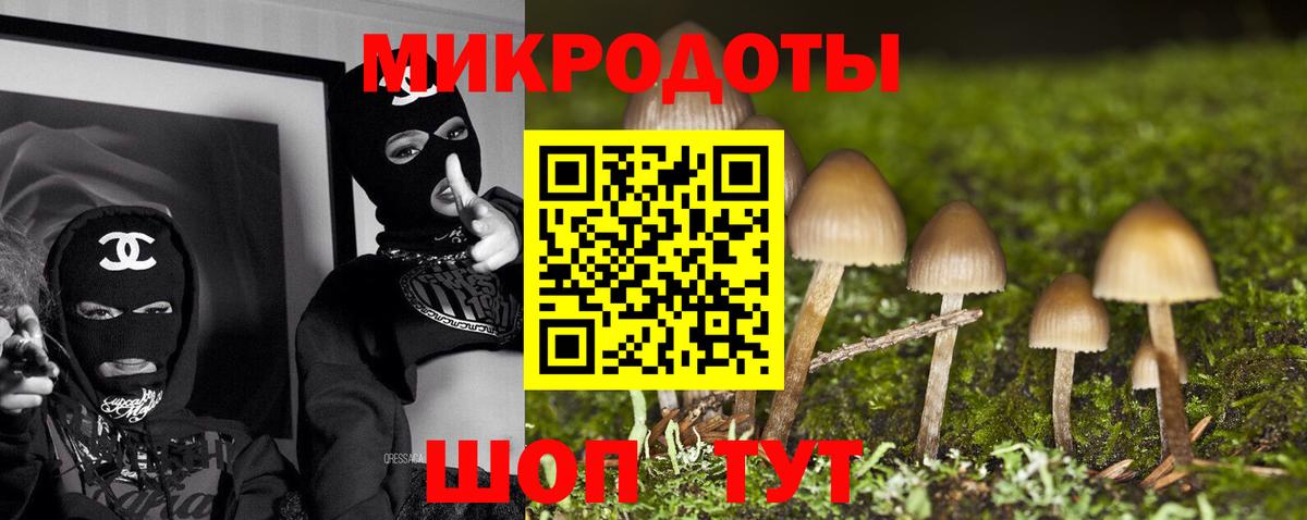 Сухой Лог  Галлюциногенные грибы Psilocybine cubensis  Галлюциногенные грибы Cubensis  купить наркотик  Вход с VPN 